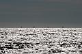 HH Skagen Race 2009 380